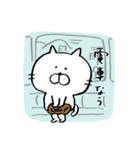 白猫のねこ 毎日（個別スタンプ：40）