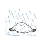やわらかカモメ2（個別スタンプ：7）