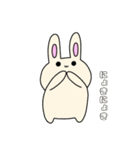 うさぴょん（2）（個別スタンプ：33）