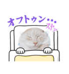 アトムとマロン（個別スタンプ：4）