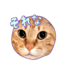 アトムとマロン（個別スタンプ：6）