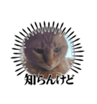 アトムとマロン（個別スタンプ：8）