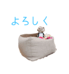 うちのミルクちゃん〜日常〜（個別スタンプ：7）