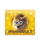 わんこだよスタンプ（個別スタンプ：2）