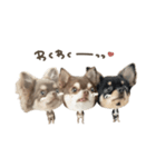 4匹様deformation（個別スタンプ：29）