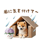 雨の日のまめしばに癒されるスタンプ（個別スタンプ：12）