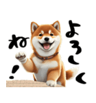 柴犬＆筆文字（個別スタンプ：12）