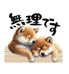 柴犬＆筆文字（個別スタンプ：38）