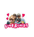 スラッシュ＆ブラン③（個別スタンプ：1）