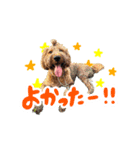 スラッシュ＆ブラン③（個別スタンプ：2）