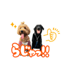スラッシュ＆ブラン③（個別スタンプ：6）