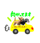 スラッシュ＆ブラン③（個別スタンプ：11）