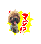 スラッシュ＆ブラン③（個別スタンプ：21）