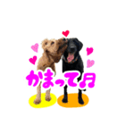 スラッシュ＆ブラン③（個別スタンプ：22）