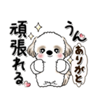 シーズー犬 『明るく元気に』前を向いて（個別スタンプ：9）