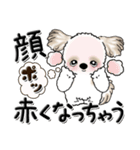 シーズー犬 『明るく元気に』前を向いて（個別スタンプ：27）