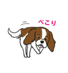 犬の毛まみれ愛ランド（個別スタンプ：9）