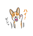 犬の毛まみれ愛ランド（個別スタンプ：20）