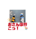 チャポ ボニー 琥珀 龍空 諭吉（個別スタンプ：14）