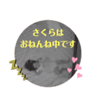 さくらさく①（個別スタンプ：9）