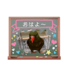 プイの鳥2（別）（個別スタンプ：8）