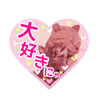 リアル猫♡らぶ♪にゃんこ♡Love♡5（個別スタンプ：12）