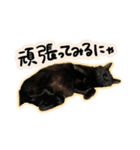 黒猫ニケちゃん2（個別スタンプ：12）