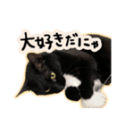 黒猫ニケちゃん2（個別スタンプ：17）