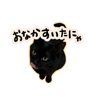 黒猫ニケちゃん2（個別スタンプ：32）