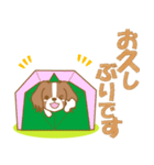 わんこ日和(コイケル)②-toYvu-（個別スタンプ：11）