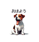 ドット絵 ジャックラッセルテリア 40種（個別スタンプ：1）