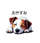 ドット絵 ジャックラッセルテリア 40種（個別スタンプ：2）