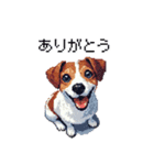 ドット絵 ジャックラッセルテリア 40種（個別スタンプ：3）