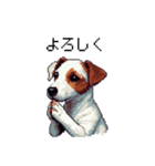 ドット絵 ジャックラッセルテリア 40種（個別スタンプ：5）