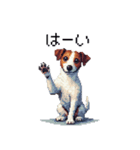 ドット絵 ジャックラッセルテリア 40種（個別スタンプ：8）