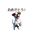 ドット絵 ジャックラッセルテリア 40種（個別スタンプ：14）