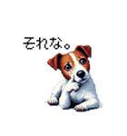 ドット絵 ジャックラッセルテリア 40種（個別スタンプ：26）