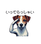 ドット絵 ジャックラッセルテリア 40種（個別スタンプ：27）