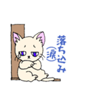 ほうせんか猫の部屋 猫イラストスタンプ2（個別スタンプ：3）