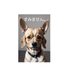 犬の画像2（個別スタンプ：10）