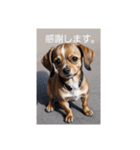 犬の画像2（個別スタンプ：12）