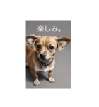 犬の画像2（個別スタンプ：15）