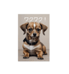 犬の画像2（個別スタンプ：21）