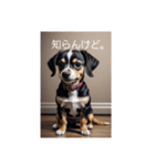 犬の画像2（個別スタンプ：27）