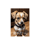 犬の画像2（個別スタンプ：29）