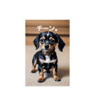 犬の画像2（個別スタンプ：38）