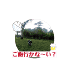 動くビコ（個別スタンプ：11）