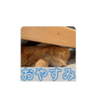 動くむぎくん（個別スタンプ：16）