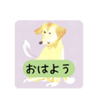 かわいい犬の日常会話（個別スタンプ：1）