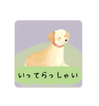 かわいい犬の日常会話（個別スタンプ：4）